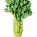 New Crop Chinese Wholesale Top Grade Healthy And Natural Celery